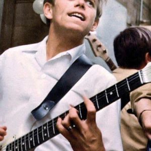Al Jardine01942