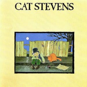 Cat Stevens01971