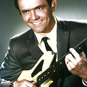 Ernie Ball02004