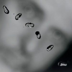 Peter Gabriel05631