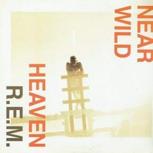 R.E.M.0564