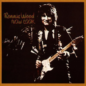 Ronnie Wood067