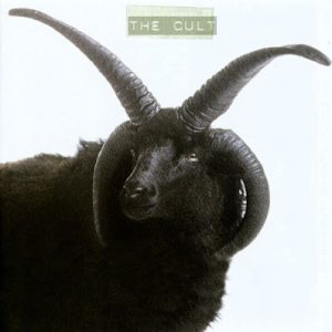 The Cult013
