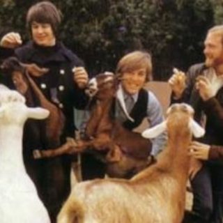 beach coys01966