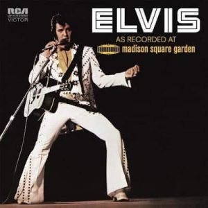 elvis084