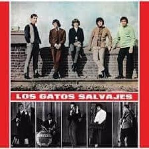 los gatos salvajes031