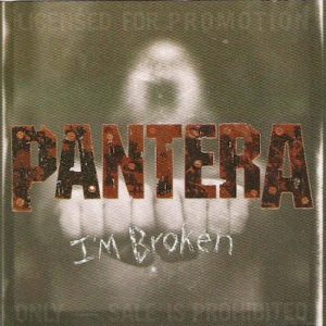 pantera085