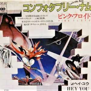 pink floyd0564