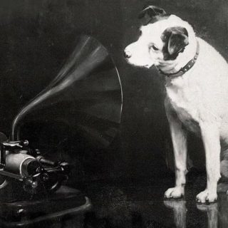 rca02026
